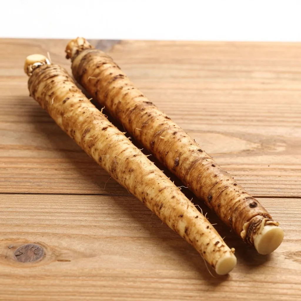 ごぼう（植物性の根菜）
